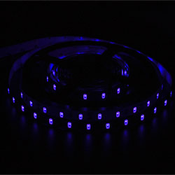 LED Strip Light  SMD 5630 (60) IP 24 Blue