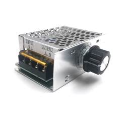 Electrical module Triac power regulator 4000 W