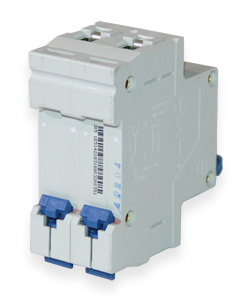 Automatic switch DZ-47-60 2P C40 [double pole, 40A, 230/400V]